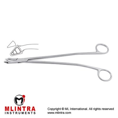 Van Doren Biopsy Forcep Stainless Steel, 27 cm - 10 3/4" Bite Size 5.5 mm Van Doren Biopsy Forcep Stainless Steel, 27 cm - 10 3/4" Bite Size 5.5 mm